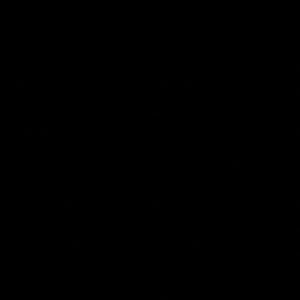 Meet your Posher, Korah